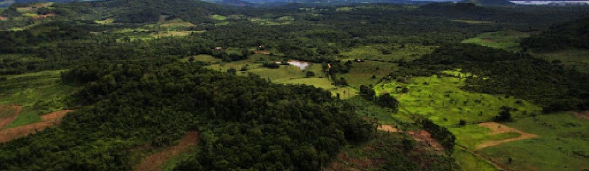 “La nueva minería venezolana armoniza la interacción del hombre con el ambiente”