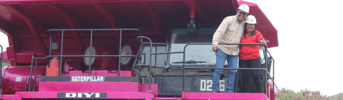 Fuerza laboral de Carbozulia, pintó camión Roquero Rosado en defensa de la igualdad de género