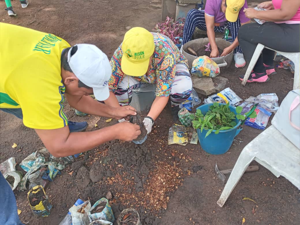 Dia Mundial del Ambiente: Concientización y  bienestar de las futuras generaciones